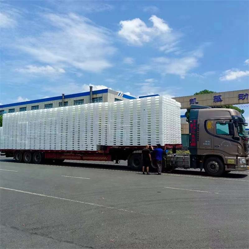 辽宁沈阳东陵到玉林物流公司——一站式服务，让货运更轻松（玉林专线物流）