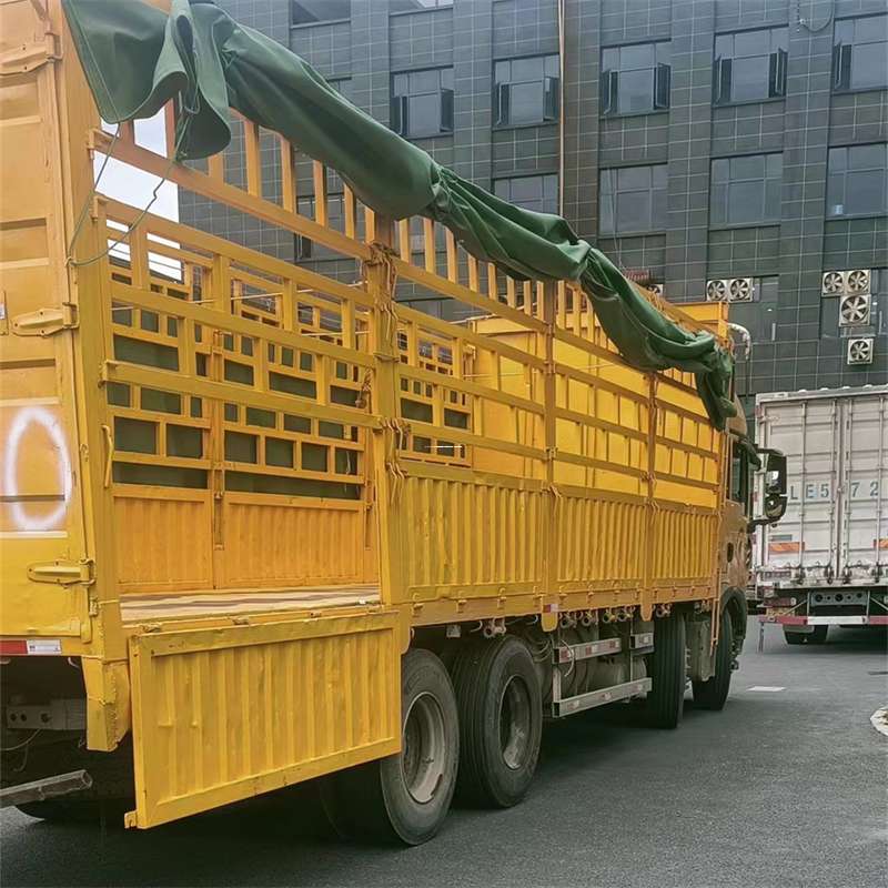 辽宁沈阳东陵至宜宾货运专线一站式物流服务，让货物畅行无忧